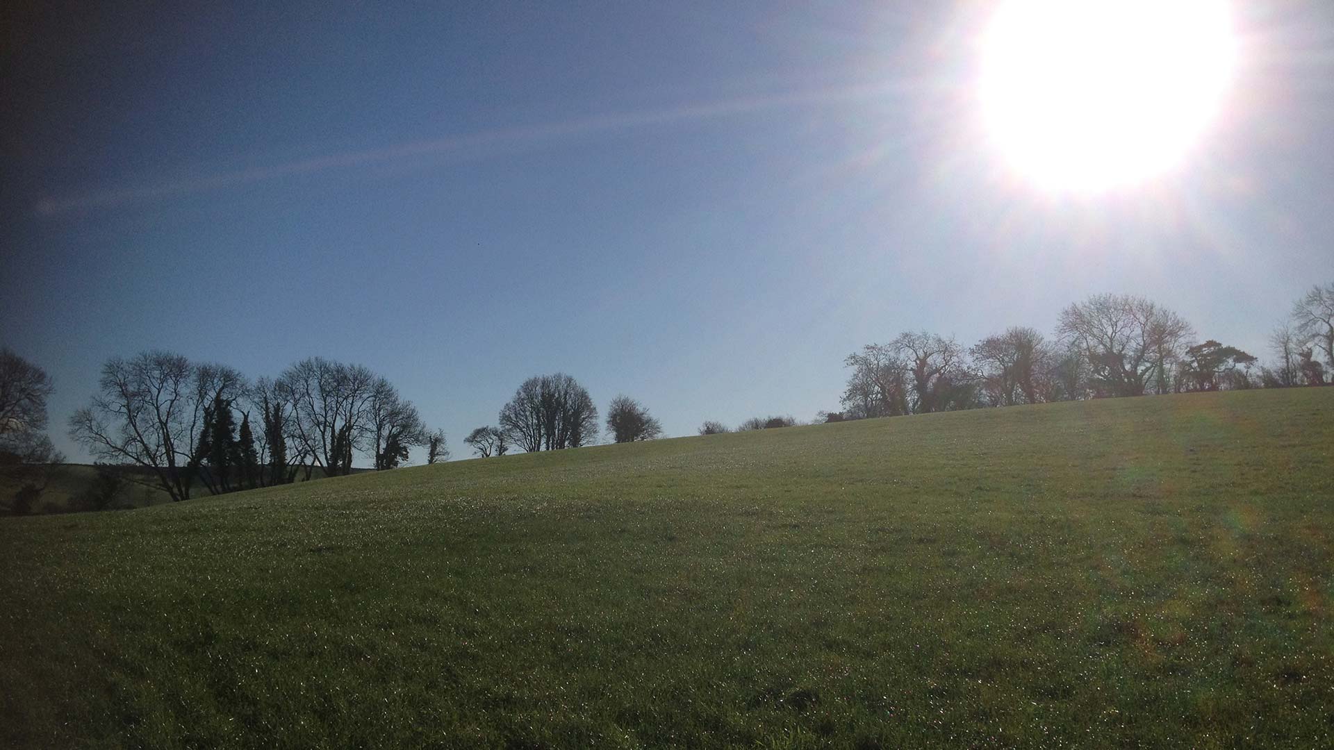 Hillside View